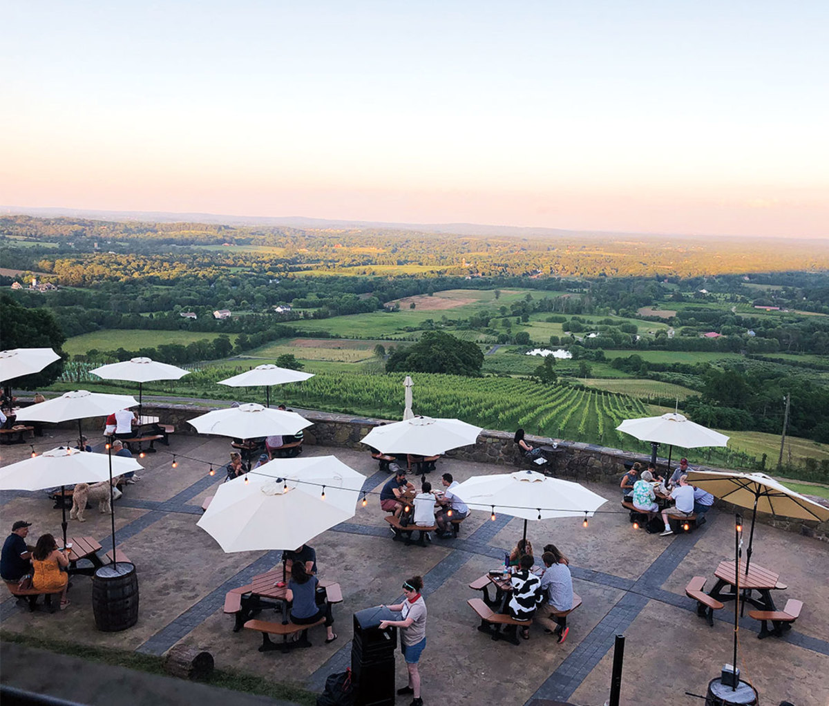 Patrons sit at tables under umbrellas at Dirt Farm Brewing in Bluemont, Virginia